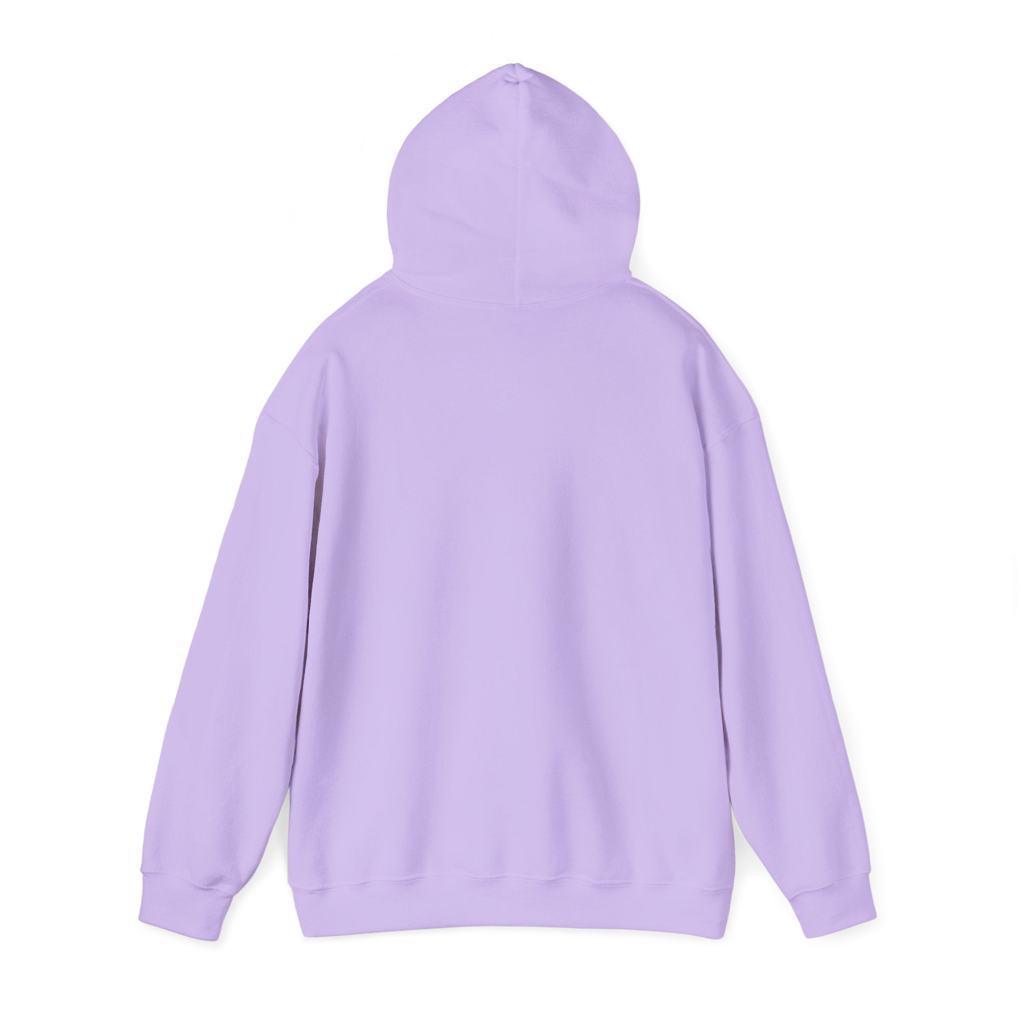 Bar Harbor, ME — Archline Collection Hoodie