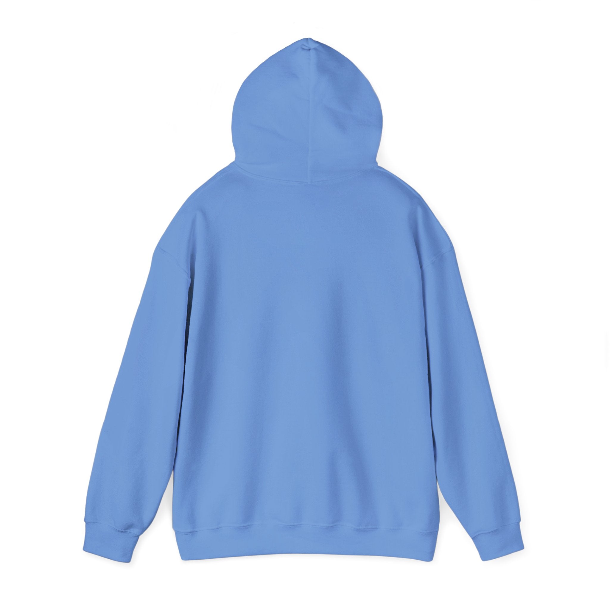 Bar Harbor, ME — Archline Collection Hoodie