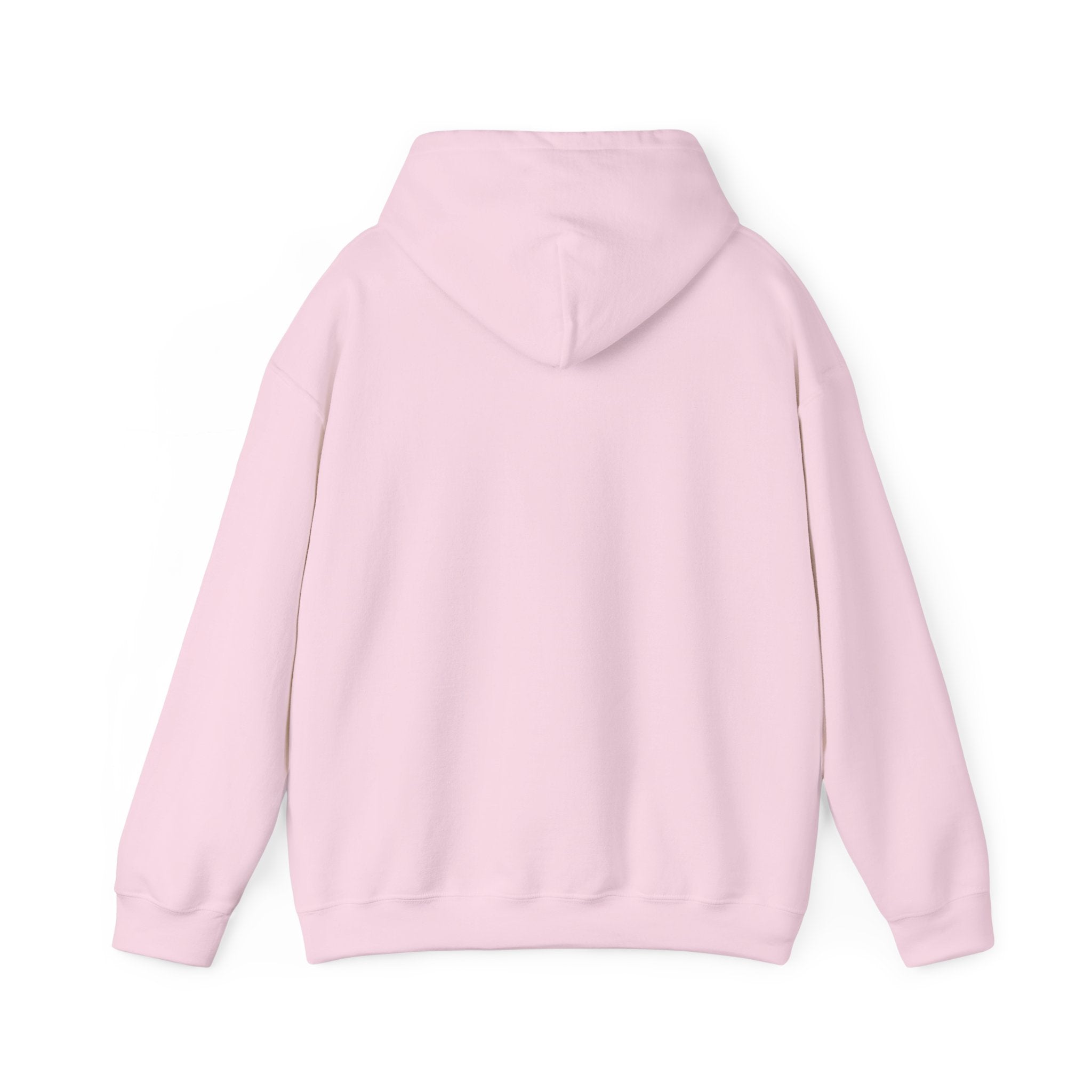 Bar Harbor, ME — Archline Collection Hoodie