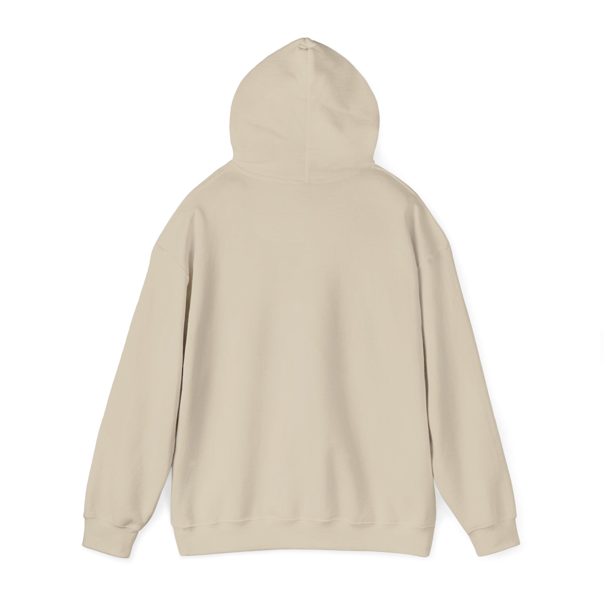 Bar Harbor, ME — Archline Collection Hoodie