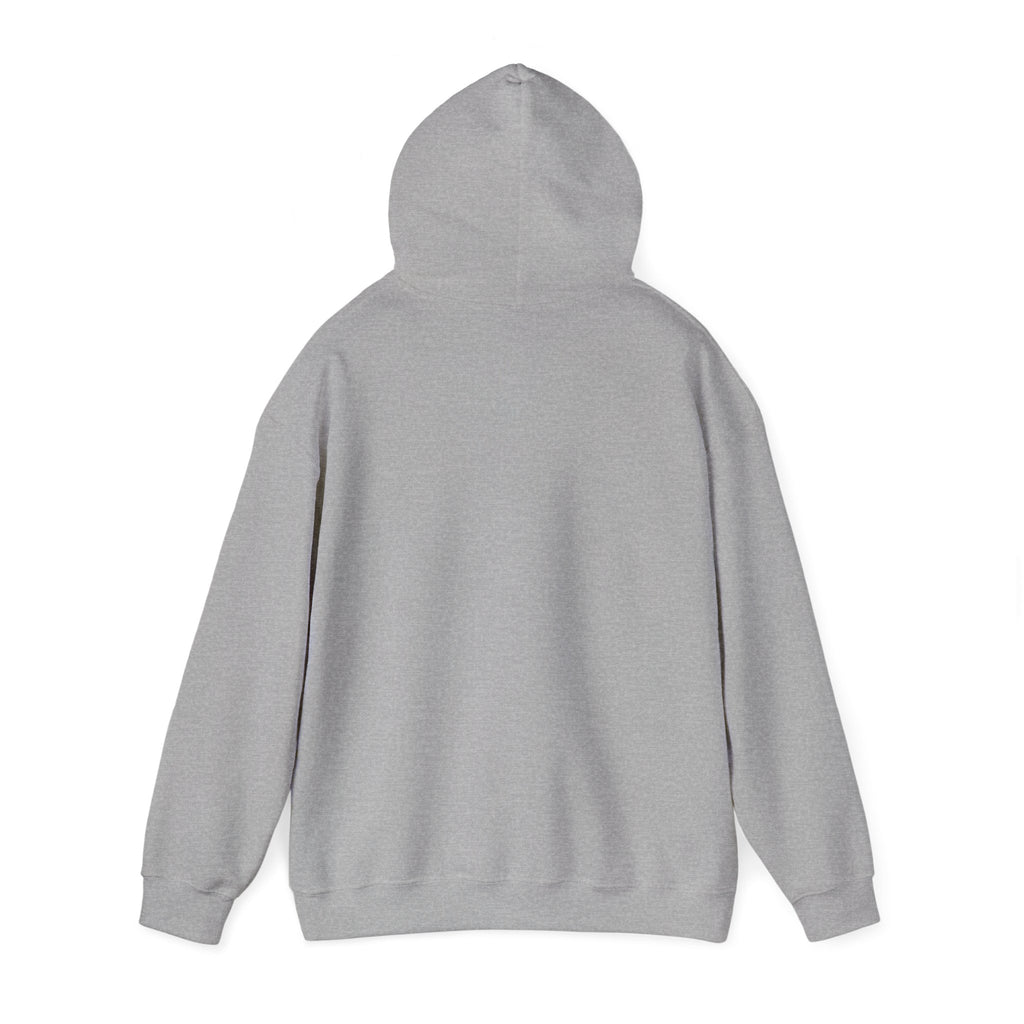 Montauk Sweatshirt: Cozy Unisex Hooded Sweatshirt for Year-Round Comfort, Perfect for Travel, Casual Outings, and Gift-Giving