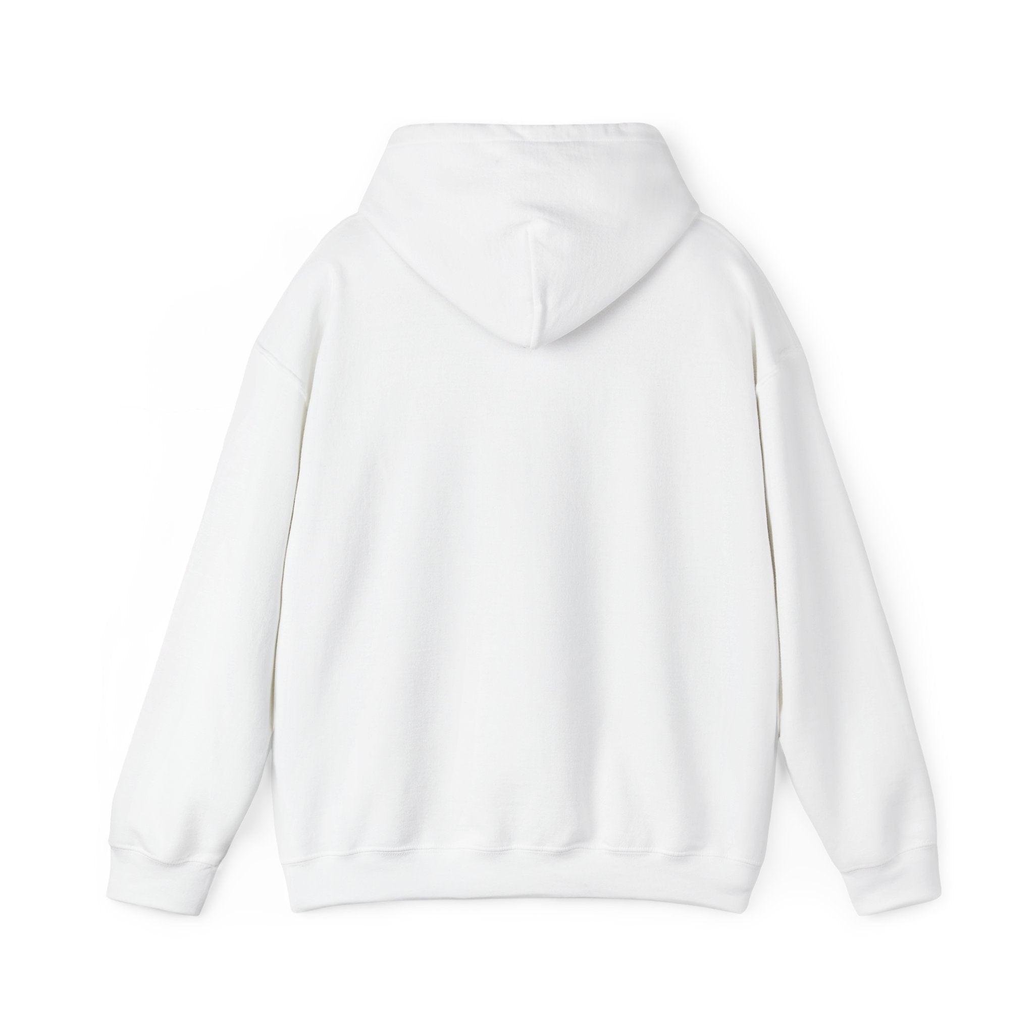 Bar Harbor, ME — Archline Collection Hoodie