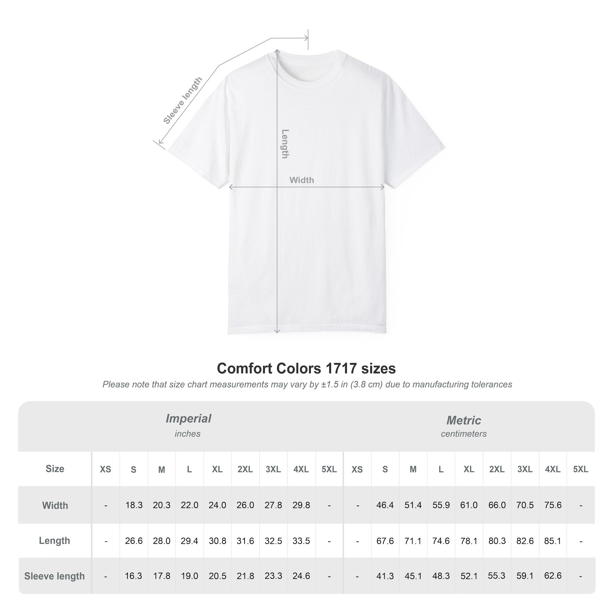 Santa Monica Garment-Dyed T-Shirt, Unisex Casual Wear, Beach Vacation Tee, Coastal Destination Apparel, Summer Souvenir
