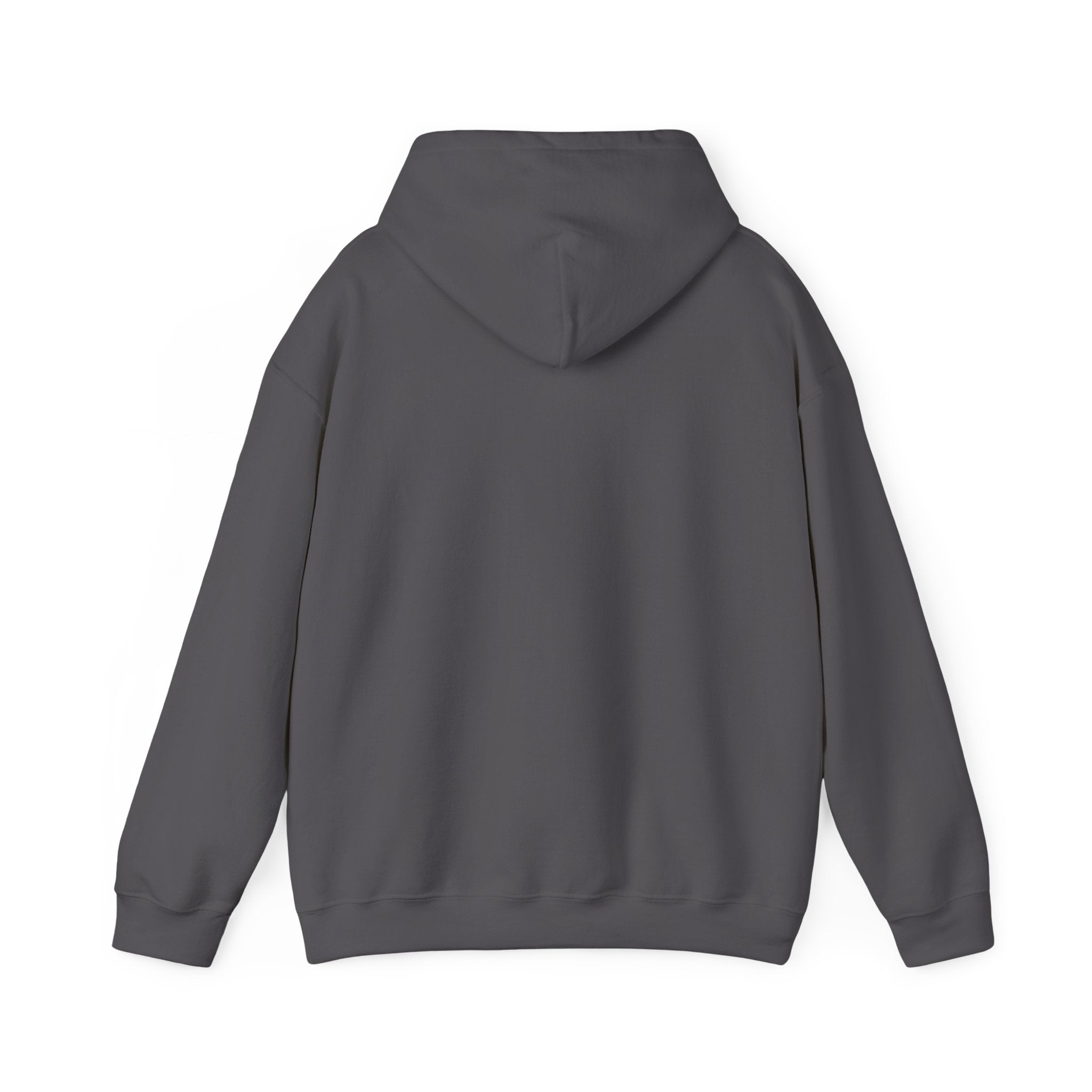 Bar Harbor, ME — Archline Collection Hoodie