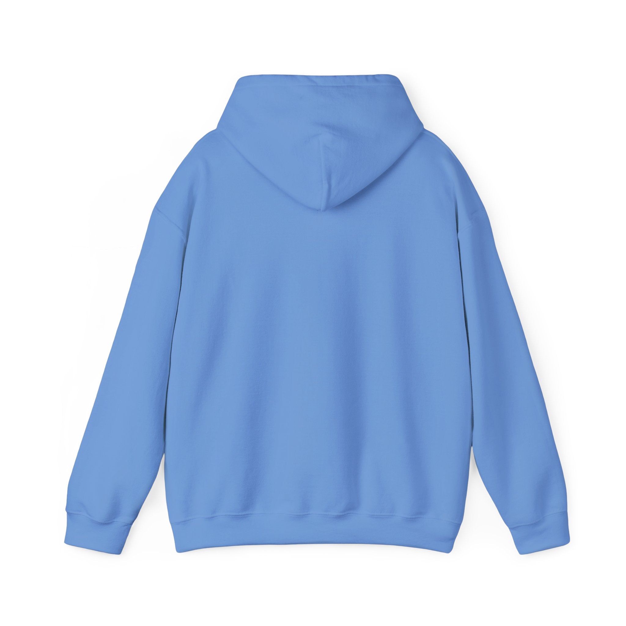 Bar Harbor, ME — Archline Collection Hoodie