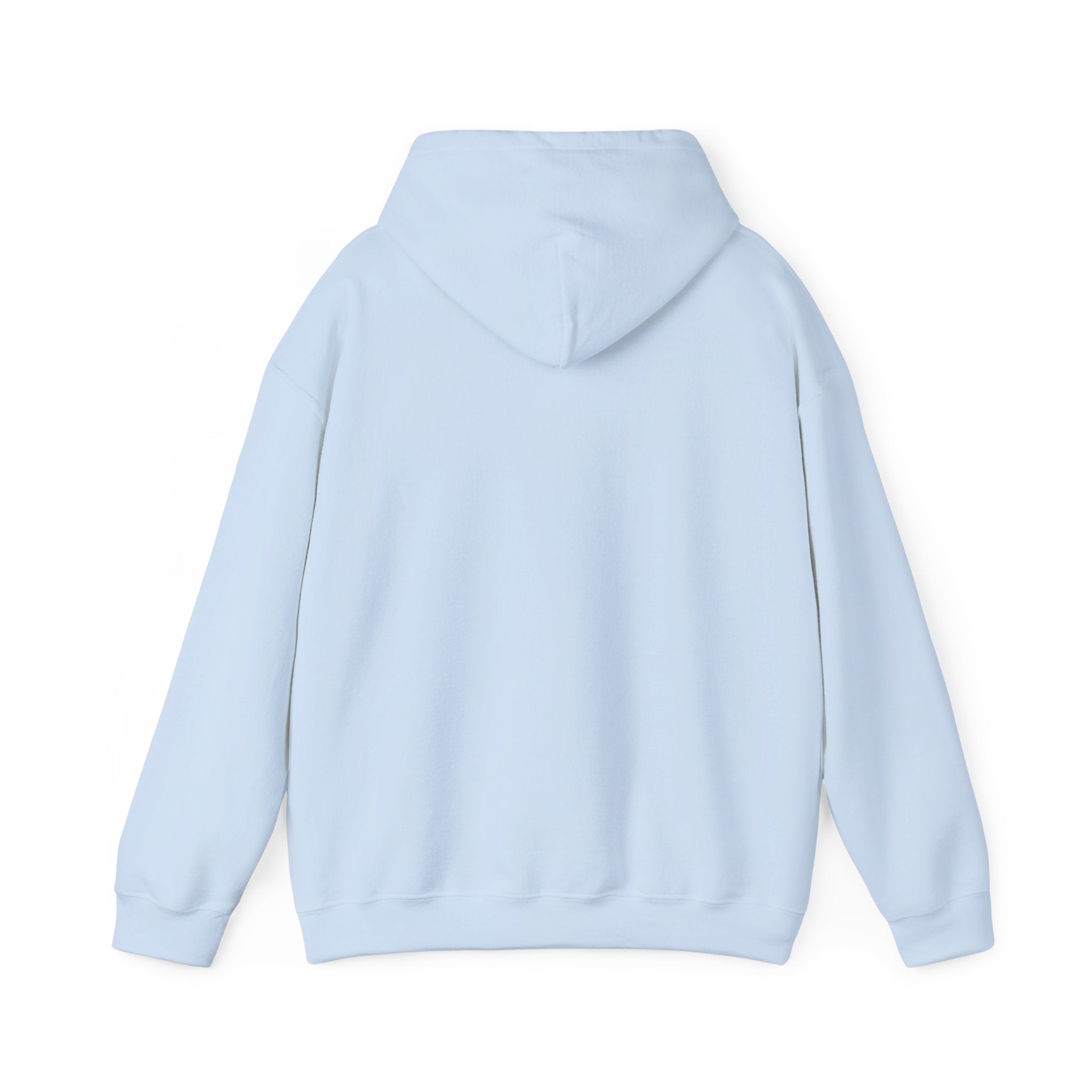 Bar Harbor, ME — Archline Collection Hoodie