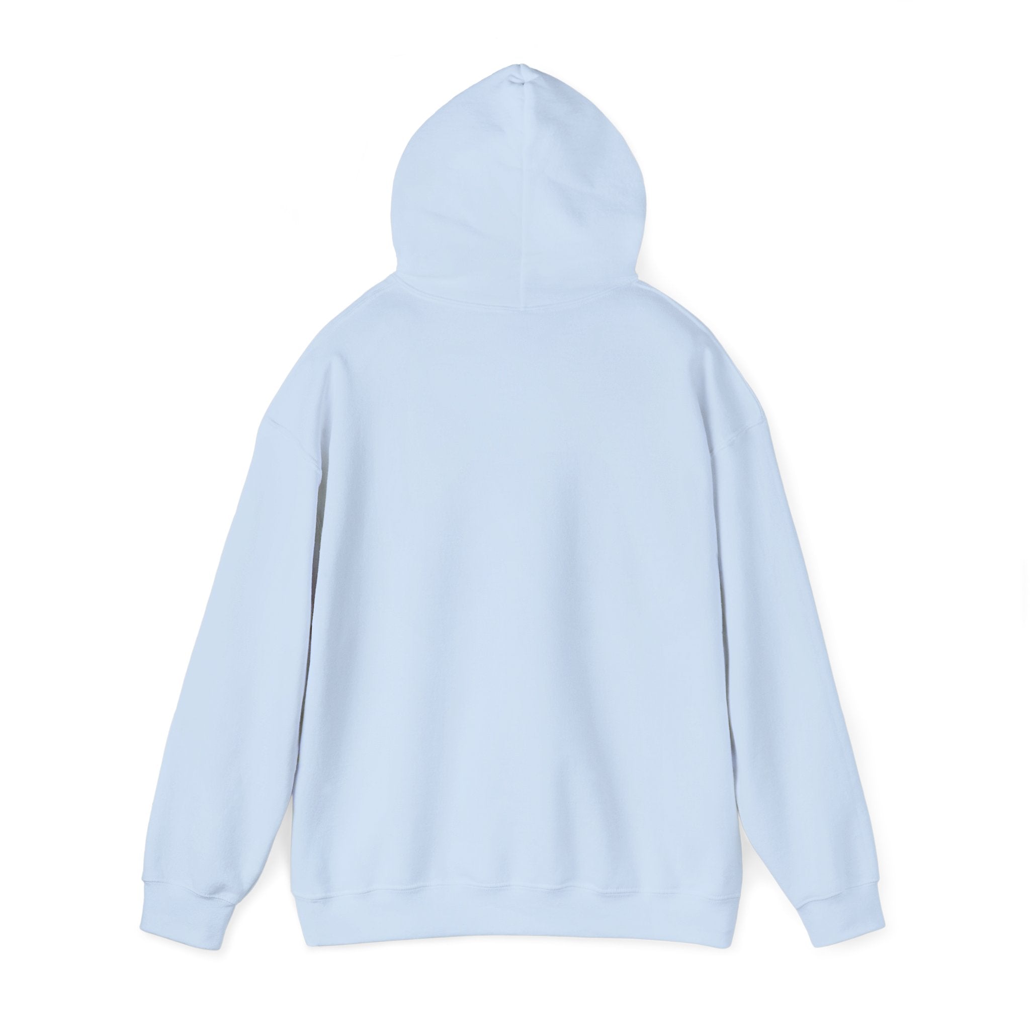 Bar Harbor, ME — Archline Collection Hoodie