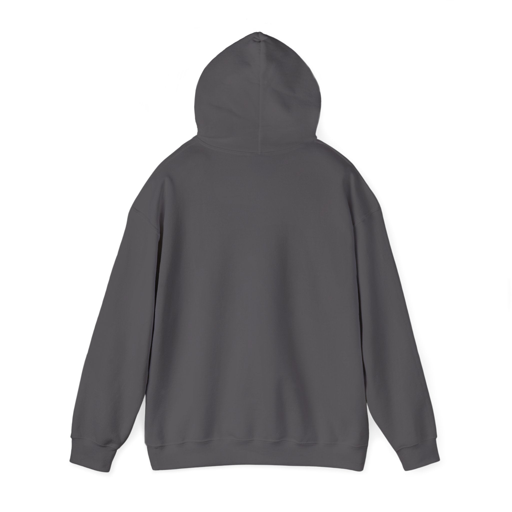 Bar Harbor, ME — Archline Collection Hoodie