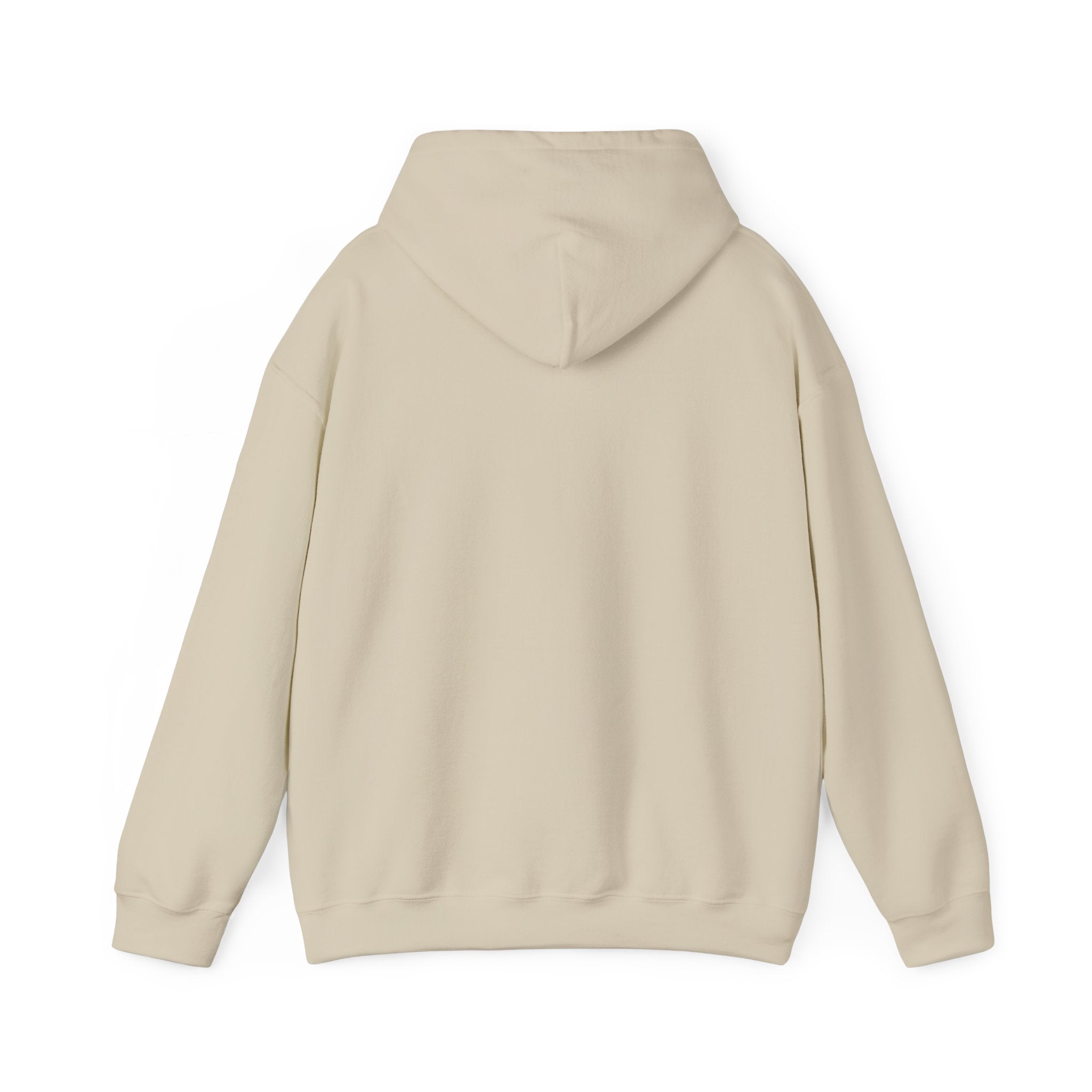 Montauk Sweatshirt: Cozy Unisex Hooded Sweatshirt for Year-Round Comfort, Perfect for Travel, Casual Outings, and Gift-Giving