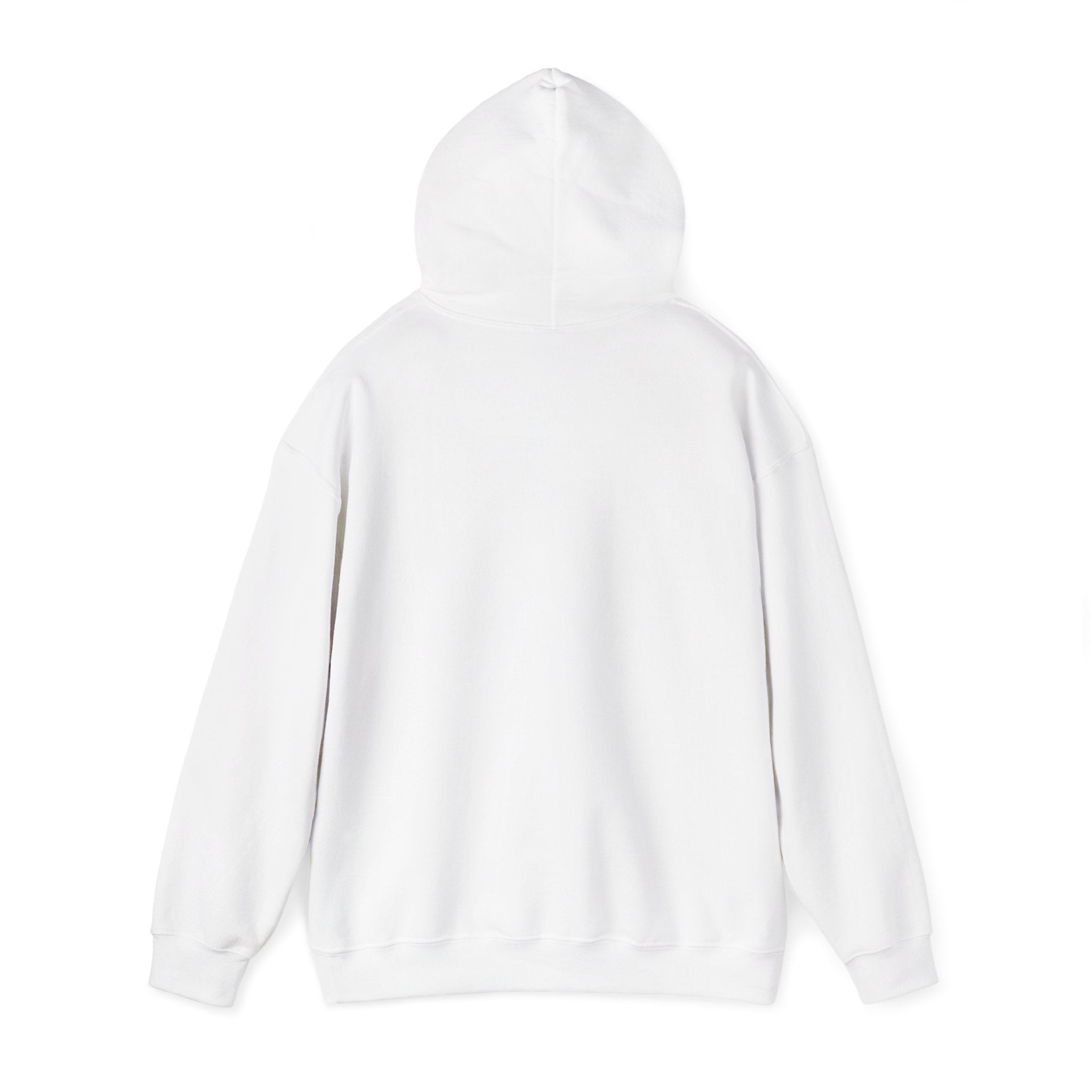 Bar Harbor, ME — Archline Collection Hoodie