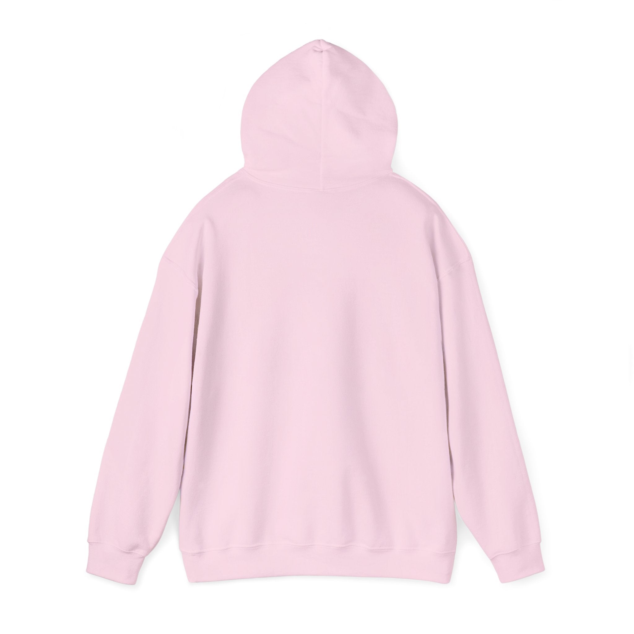Bar Harbor, ME — Archline Collection Hoodie