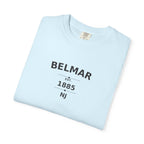 chambray