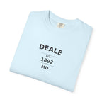 chambray
